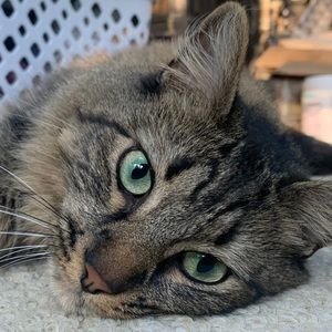 Meet your Posher, Alex